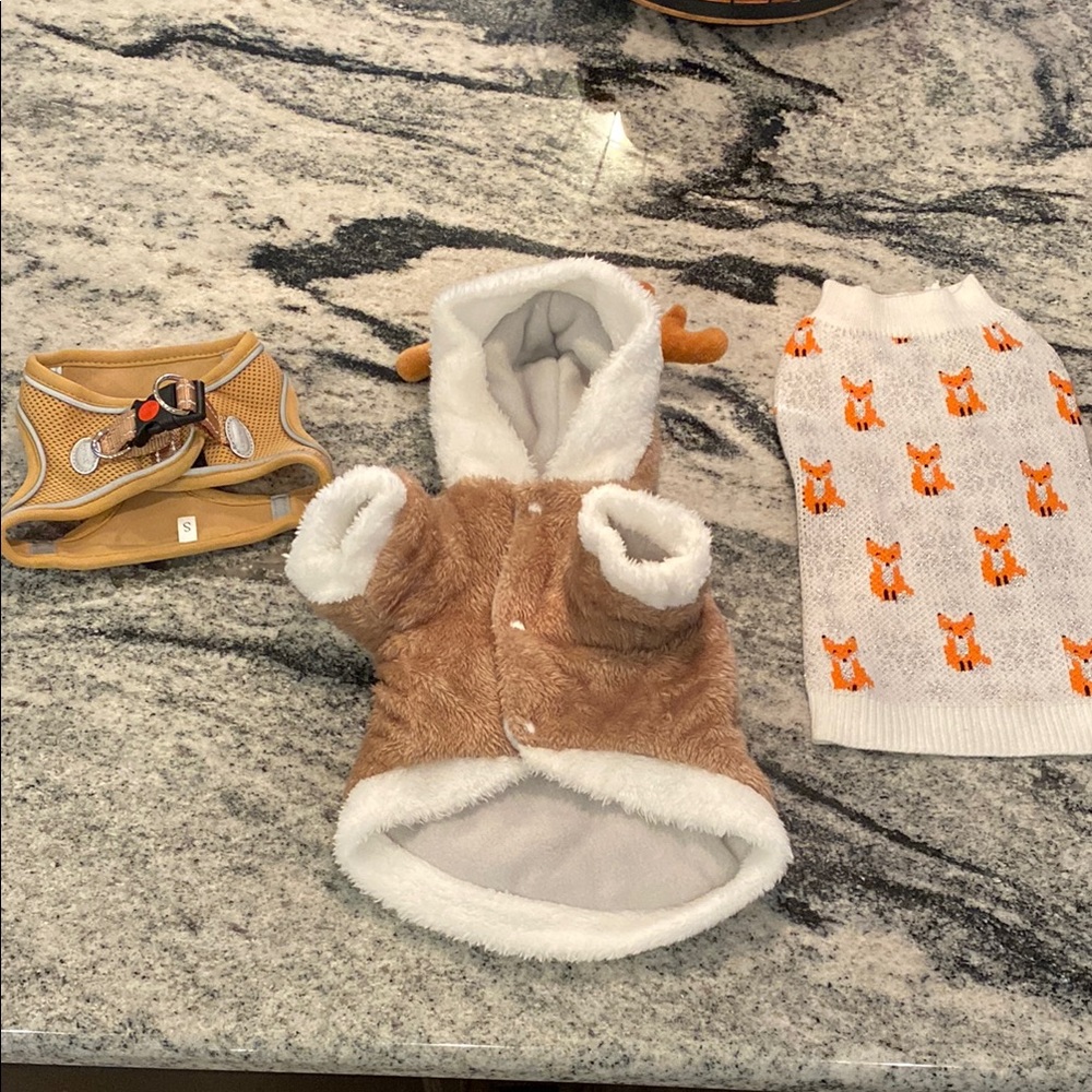 Small dog sweater and harness